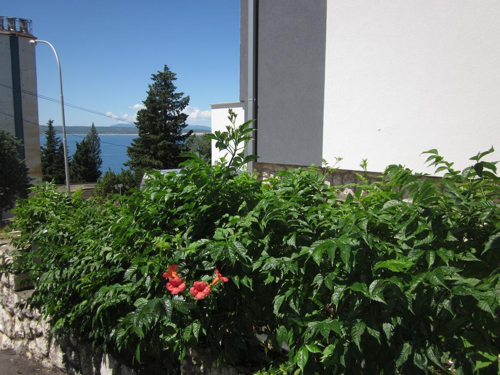 Apartment Rippl تْسْغيكفانِتْسا المظهر الخارجي الصورة